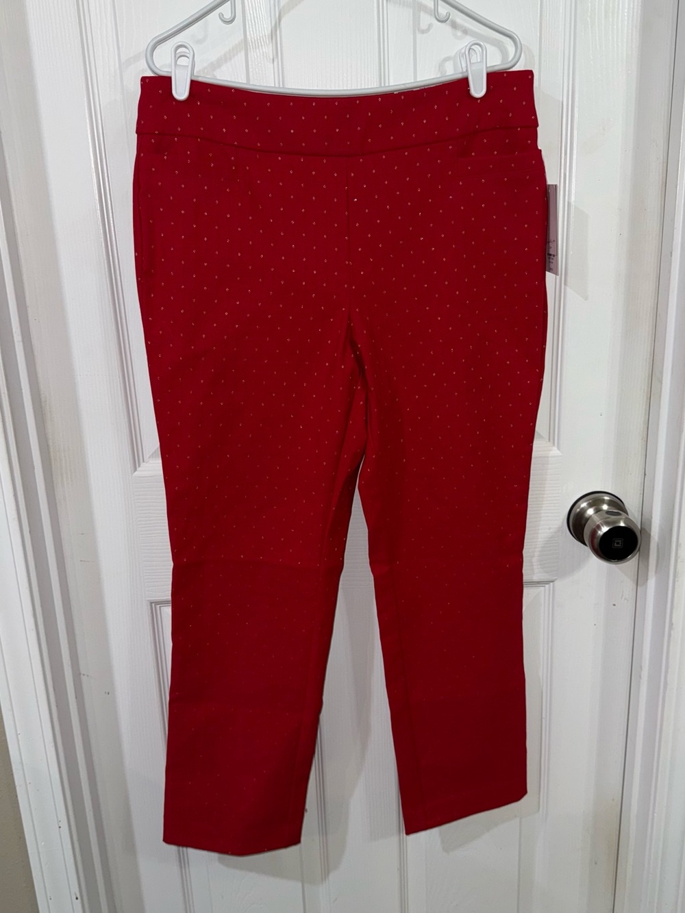 Kim Rogers Red Millennium Straight Pants Women’s Size 12PS Petite New NWT